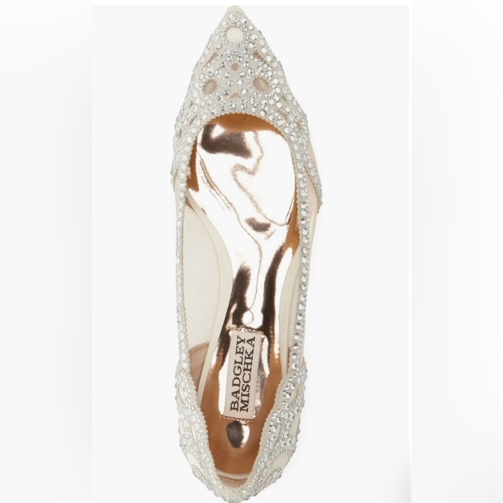 Gigi Crystal Pointed Toe Flat - Size 9